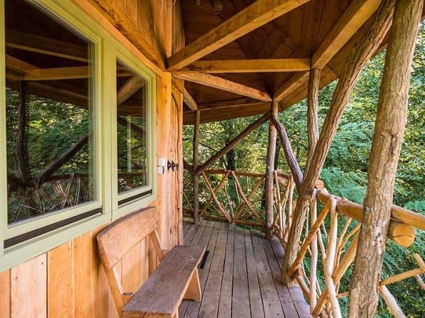 The treehouse